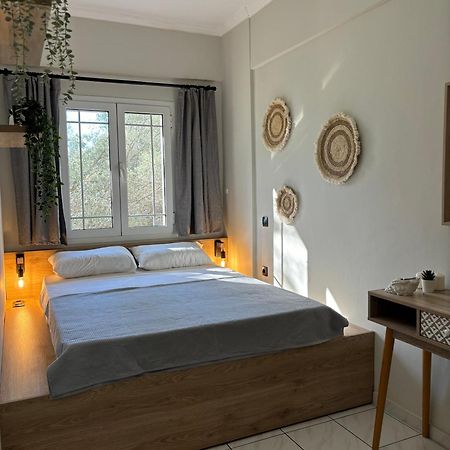 Olive Tree Apartments Lefkáda Kültér fotó