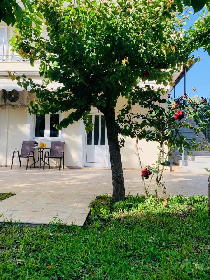 Olive Tree Apartments Lefkáda Kültér fotó
