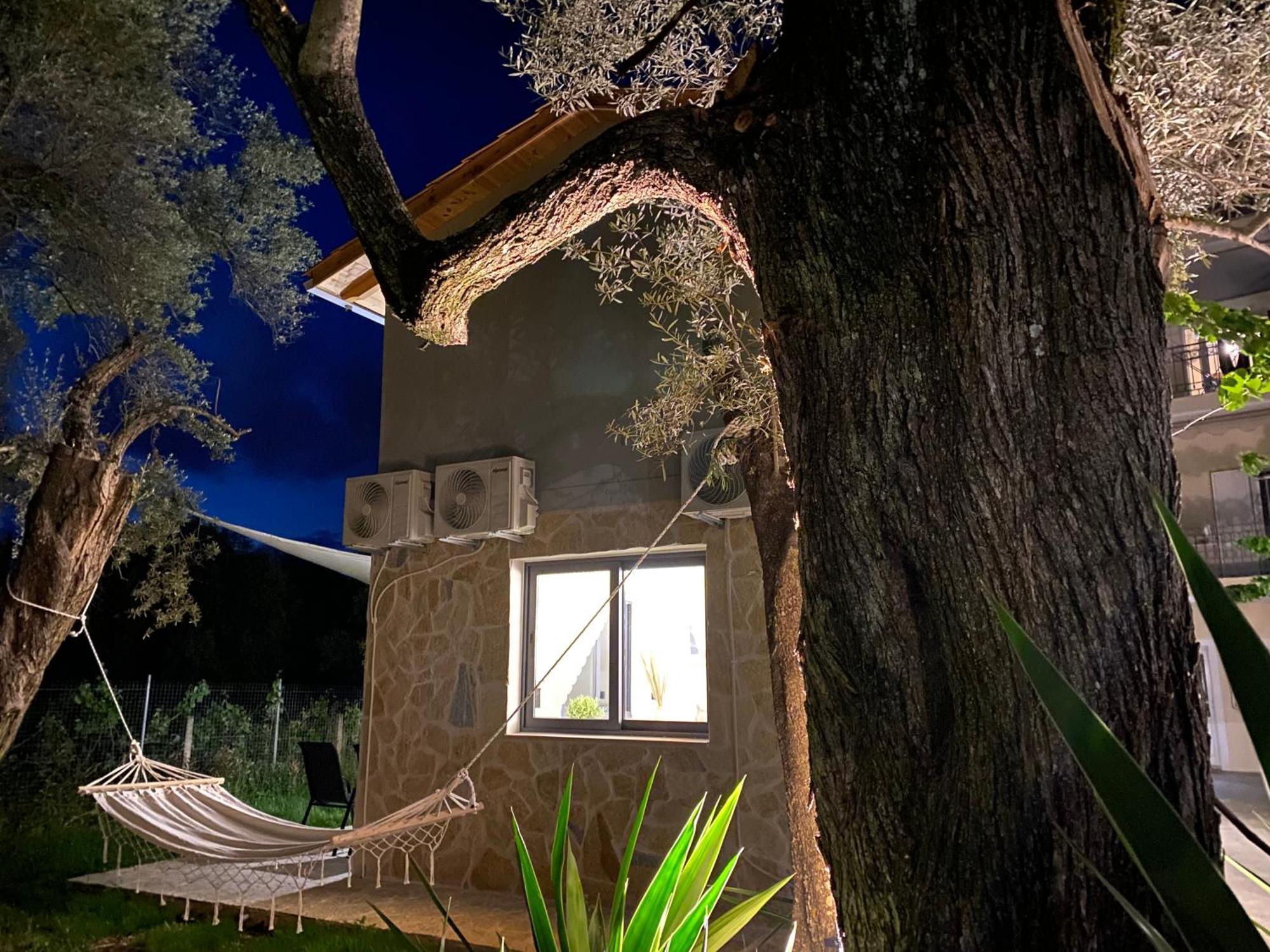 Olive Tree Apartments Lefkáda Szoba fotó
