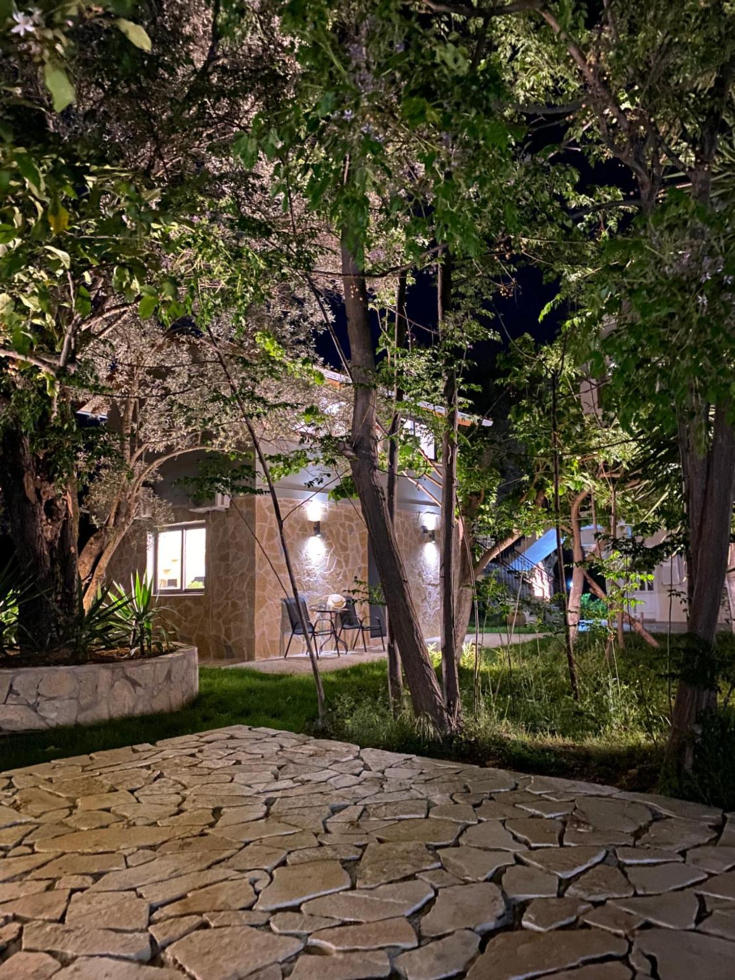Olive Tree Apartments Lefkáda Szoba fotó