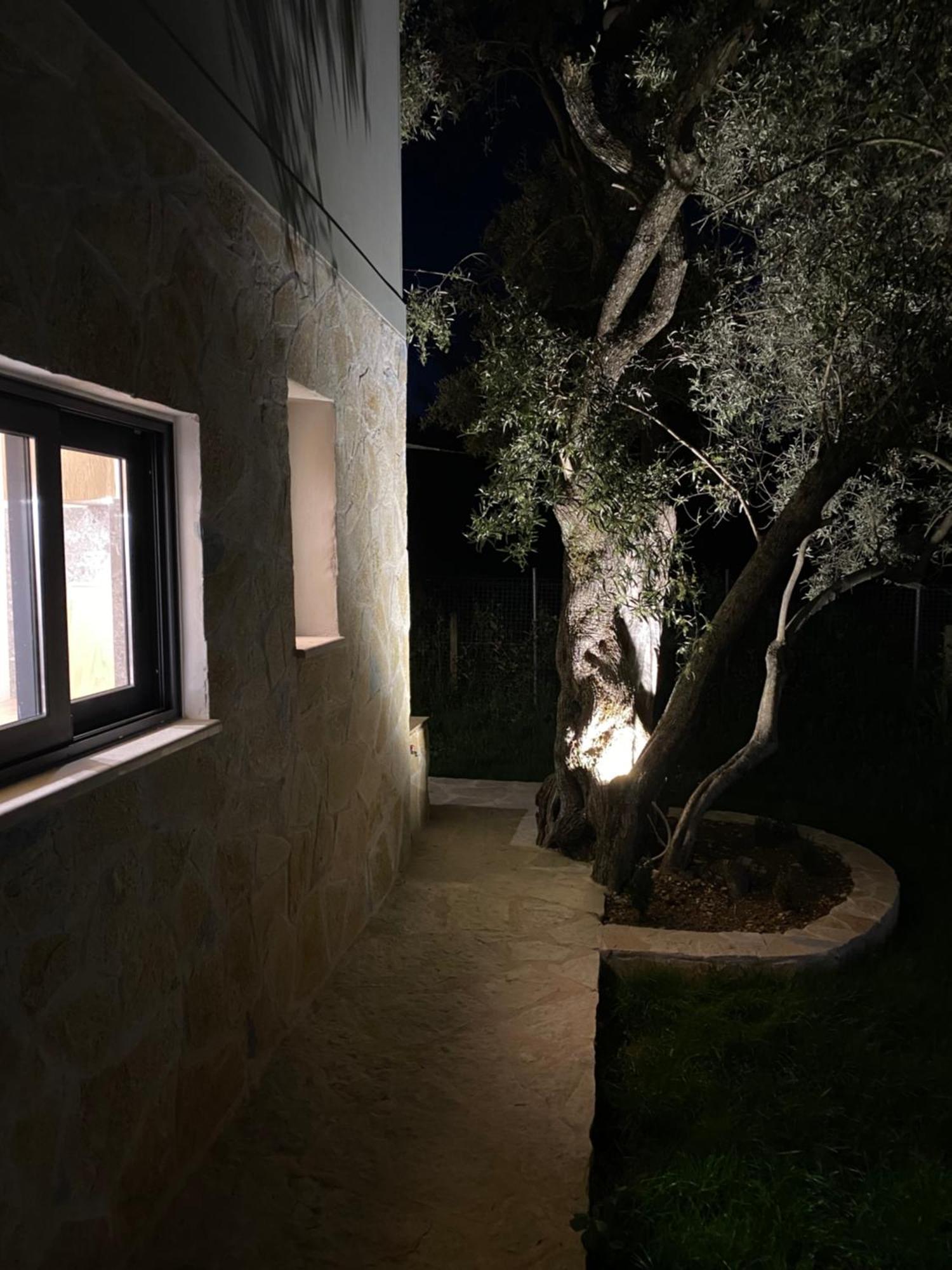Olive Tree Apartments Lefkáda Kültér fotó